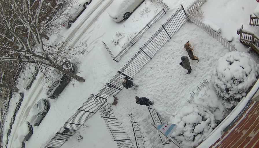 Reolink Camera Two_01_Reolink Home Hub One_20260125145629.jpg